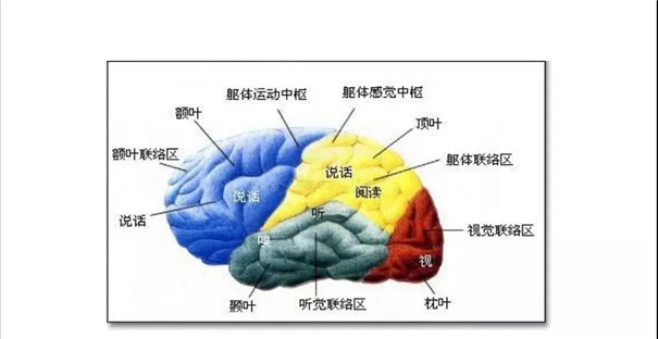 蒙氏幼儿教育方法